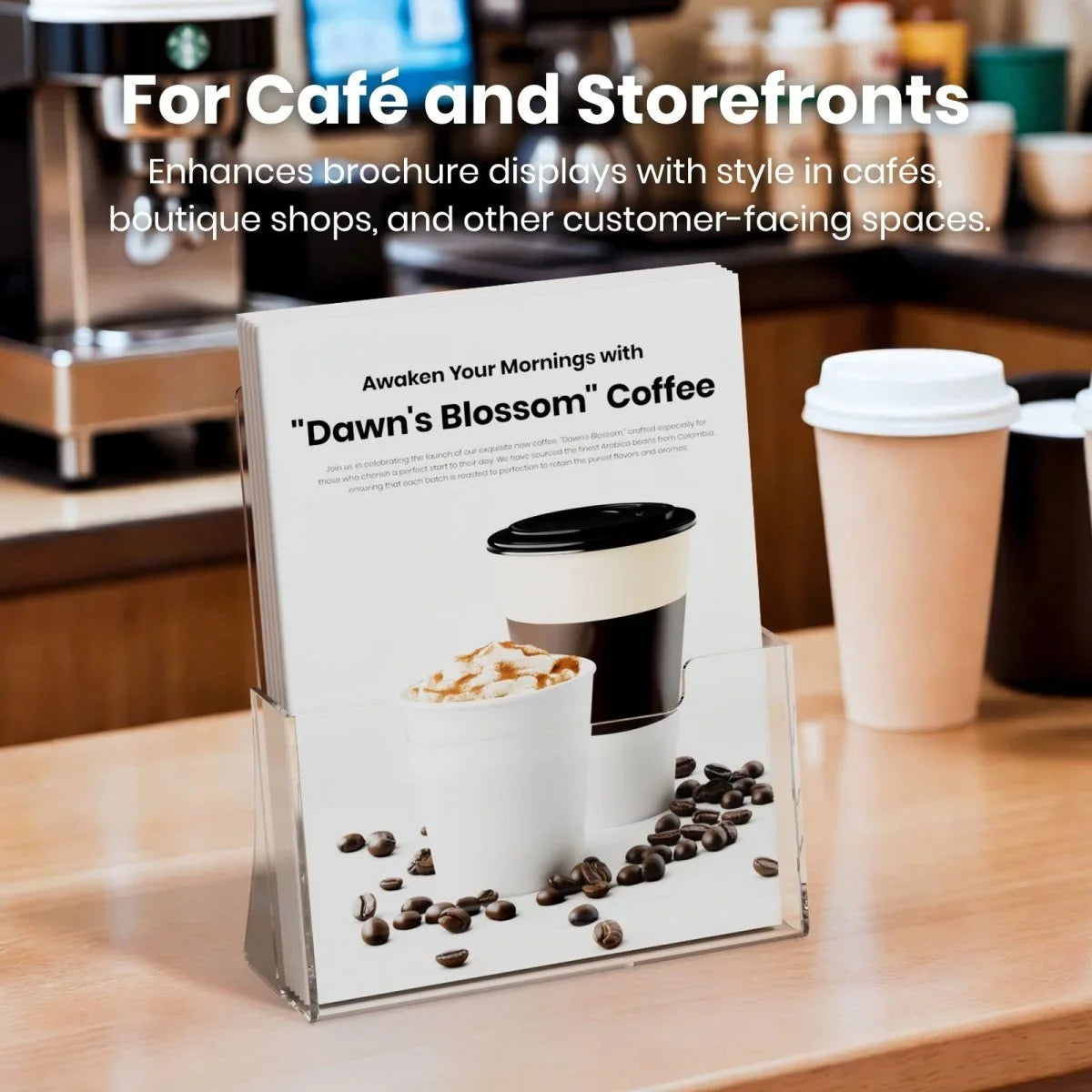 8.5" Single-Tier Acrylic Brochure Holder – 2 Pack - NIUBEE